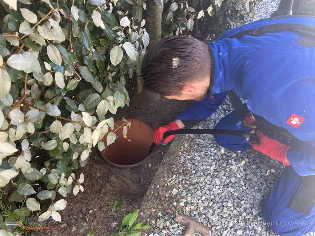 Rioolvliegjes Heerhugowaard Rioolvliegjes Heerhugowaard